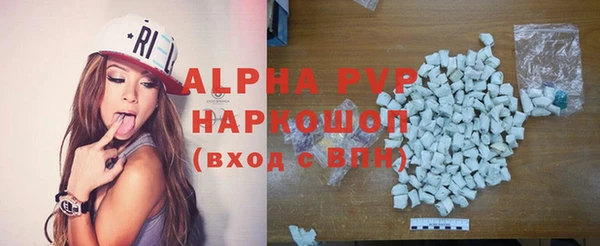 винт Ельня