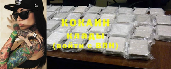 винт Ельня