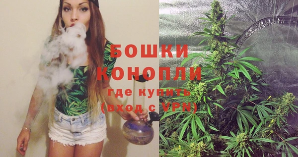 винт Ельня