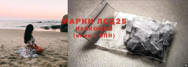 винт Ельня