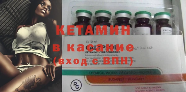 винт Ельня