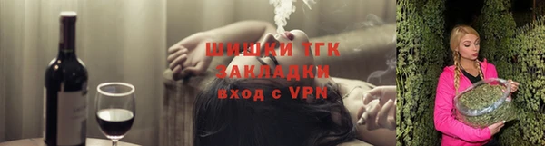 винт Ельня