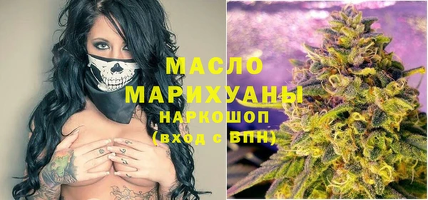 винт Ельня