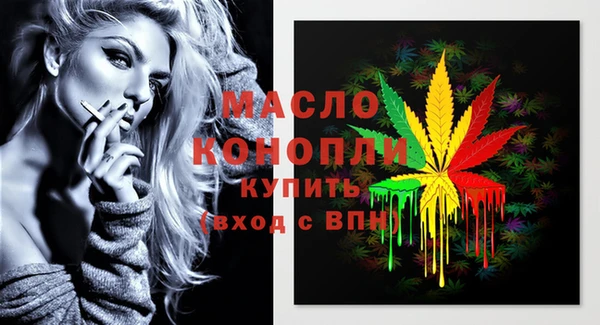винт Ельня