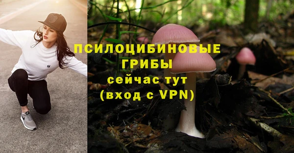 эйфоретик Елизово