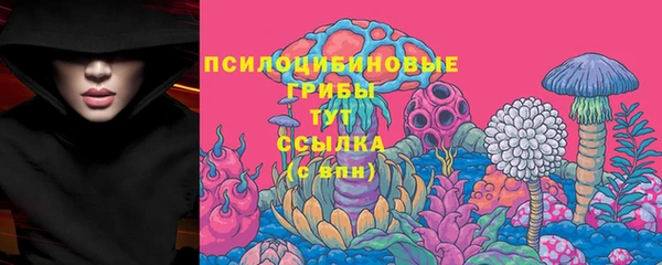 эйфоретик Елабуга