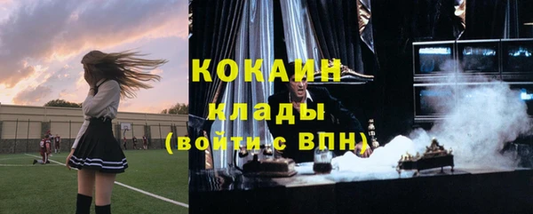 винт Ельня